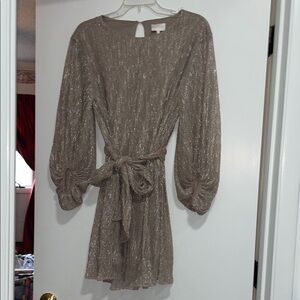 Elegant Shimmering Taupe Dress